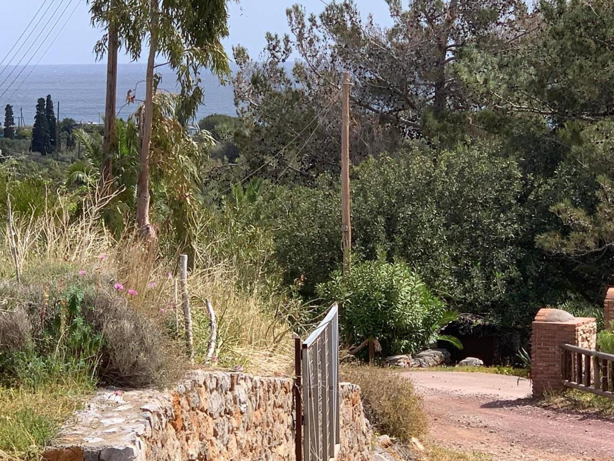 Villa Sea View Mesa Mpanta Zakros Exterior photo